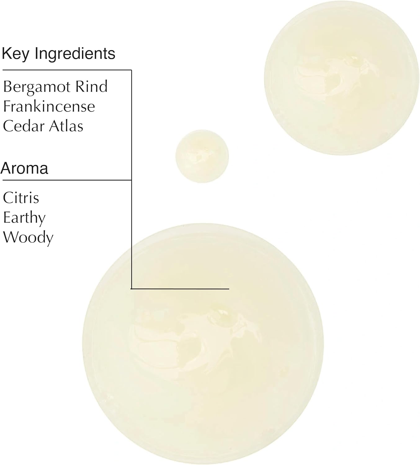 Aesop Geranium Leaf Body Cleanser and Shampoo | Paraben, Cruelty-free & Vegan | 16.9 oz