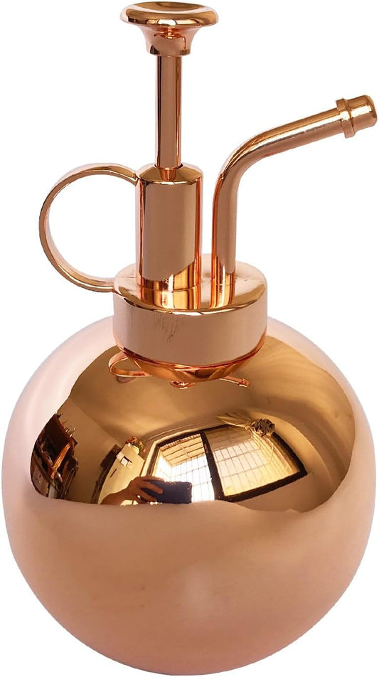 Stainless Steel Plant Sprayer, Small Watering Can Plant Misting Bottle, Modern Gardening Tools for Indoor Potted Plants Watering and Misting