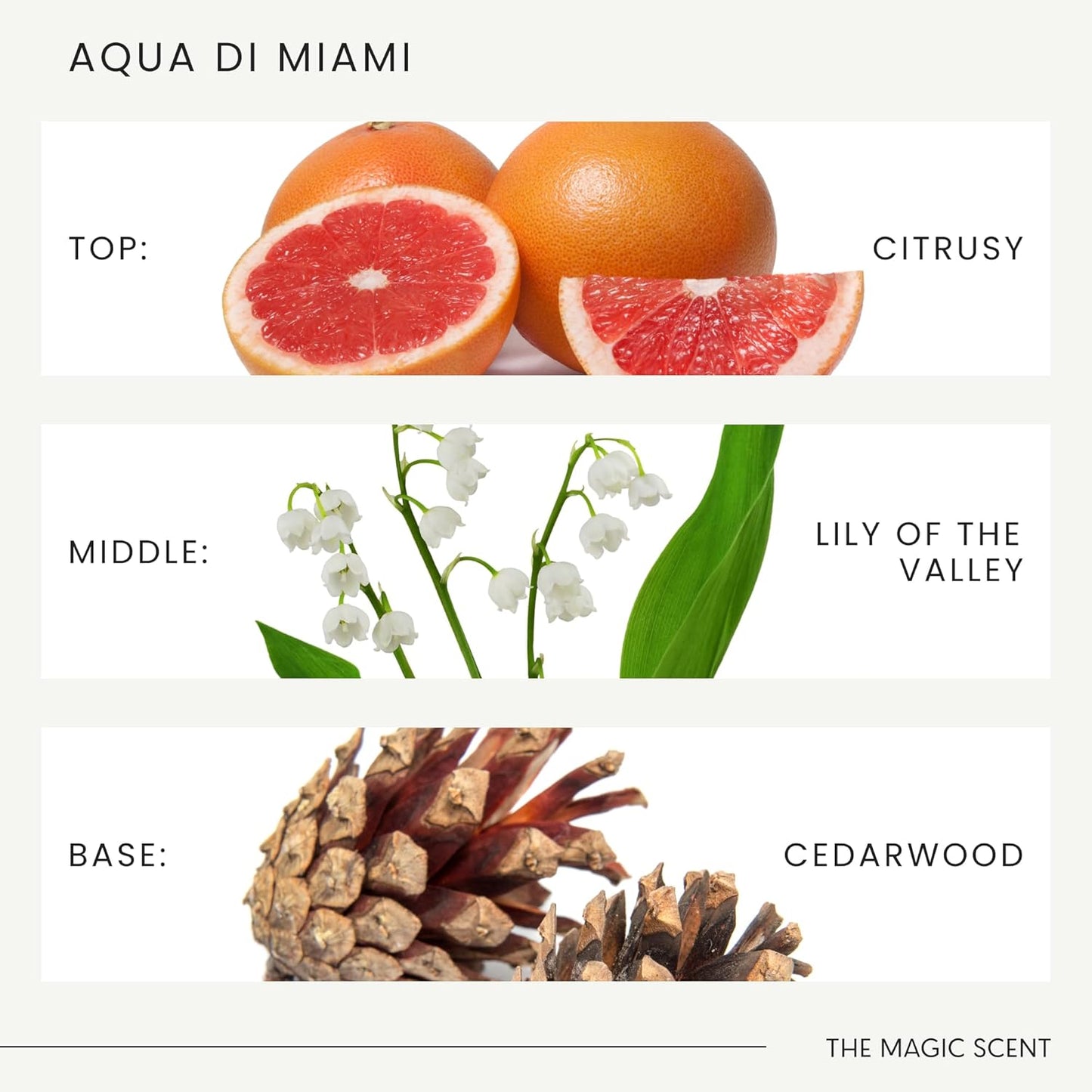 Aqua di Miami Diffuser Oil - Hotel & Home Luxury Scents - Diffuser Oil Scents for Home Designed for Use in All Diffusers - 8.5 fl oz, 250 mL