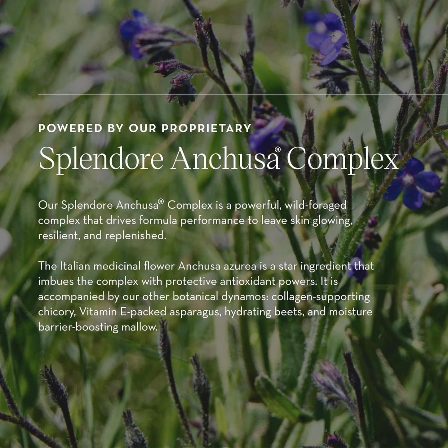 Furtuna Skin Micellar Cleansing Essence Water - Dual-Use Cleanser & Toner, Nutrient-Rich, pH Balanced, Organic Botanicals, Dermatologist Approved - 15ml