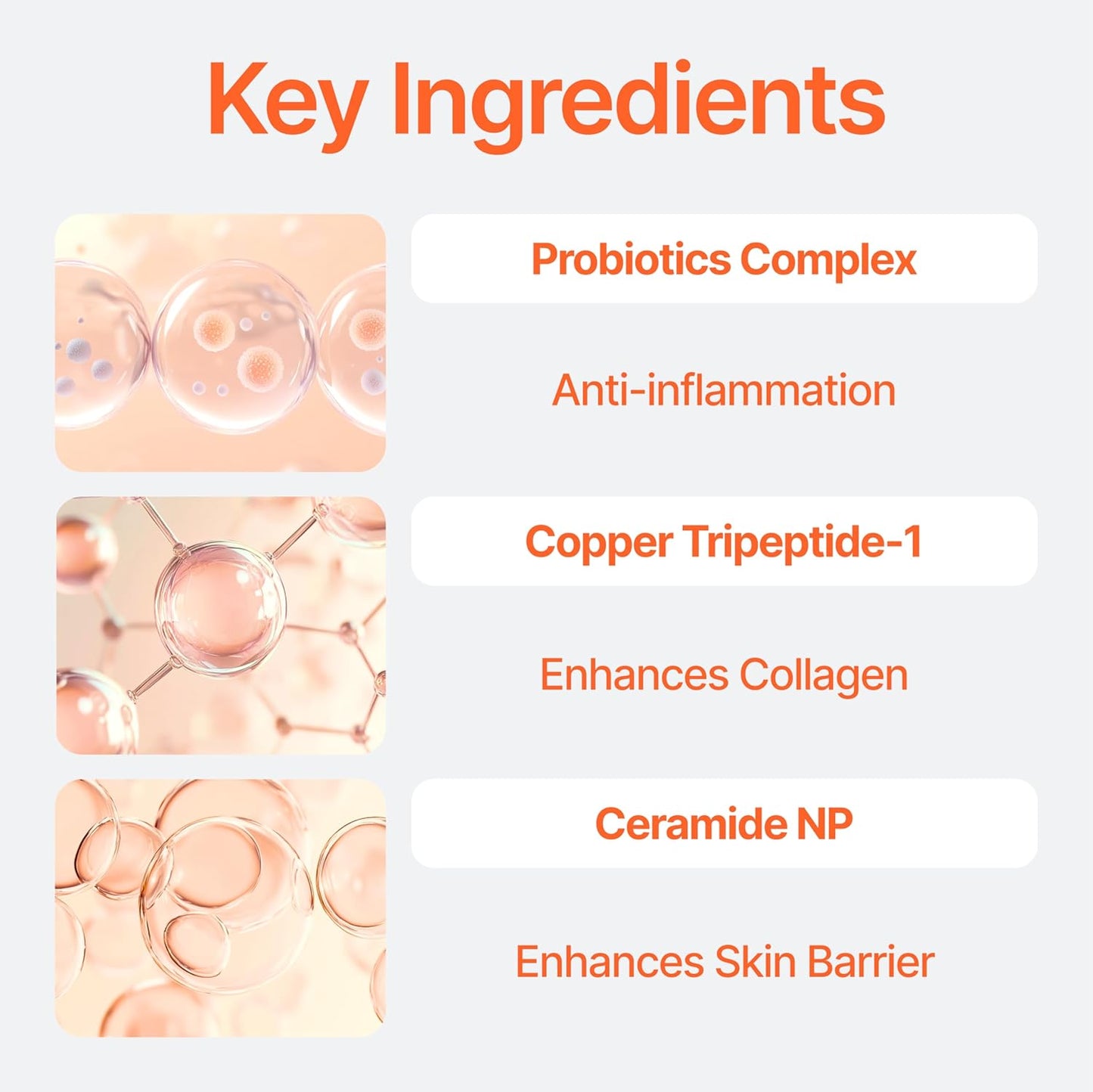 Bifida Barrier Ampoule, CUSKIN, Mild and Moisturizing Korean Skin Care Face Serum Ampoule with Ceramide NP and Hyaluronic Acid for Hydration and Skin Elasticity, 50ml (1.69 Fl. Oz.)