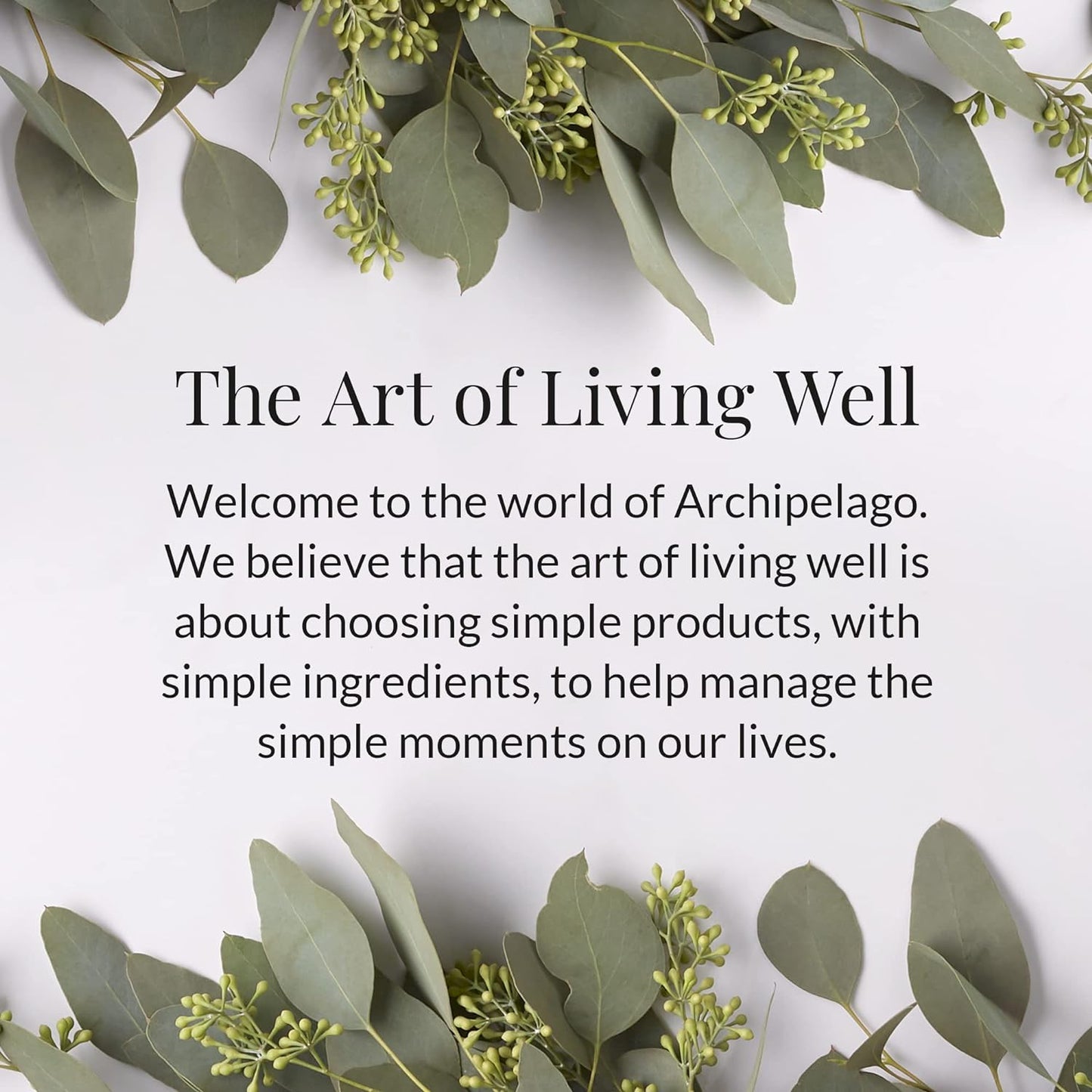 Archipelago Botanicals Charcoal Rose Lotion, Hydrating Charcoal & Rose Body Lotion for Soft & Smooth Skin, Paraben-Free, Phthalate-Free, 18 oz