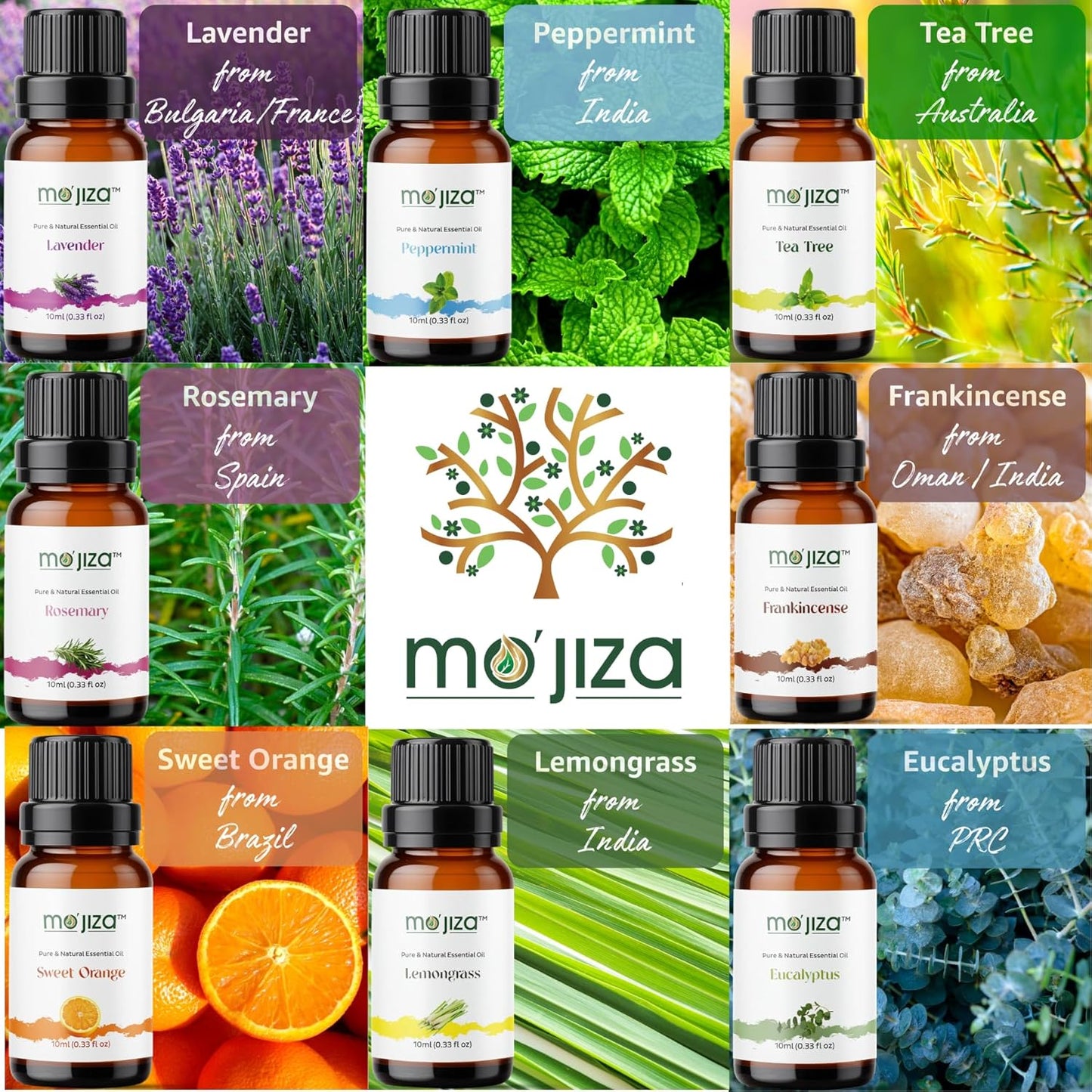 MO'JIZA Pure Aromatherapy Essential Oils Gift Set, 20 Oils-Sandalwood, Rose, Bergamot, Patchouli, Grapefruit, Clary Sage, Jasmine, Lavender, and More, 10ml Each. Certified Kosher, Vegan & Cruelty Free