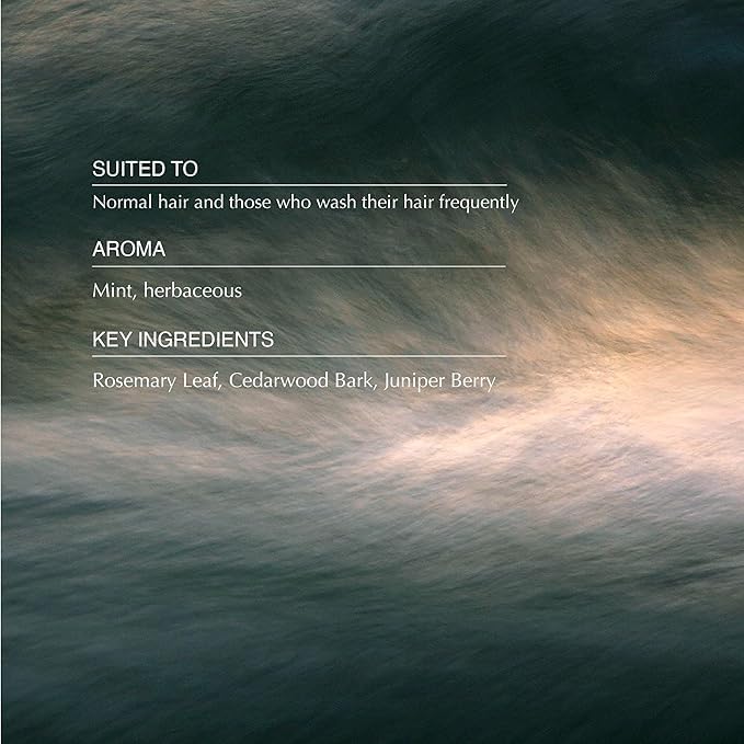 Aesop Classic Shampoo & Conditioner Set | Adds Shine, Hydration, Softness to Hair | 500 mL / 16.9 oz