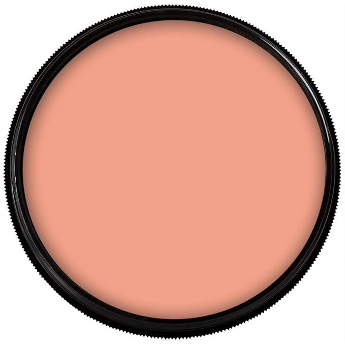 Mehron Makeup Foundation Greasepaint | Stage, Face Paint, Body Paint, Halloween Makeup 1.25 oz (38 g) (AUGUSTE)