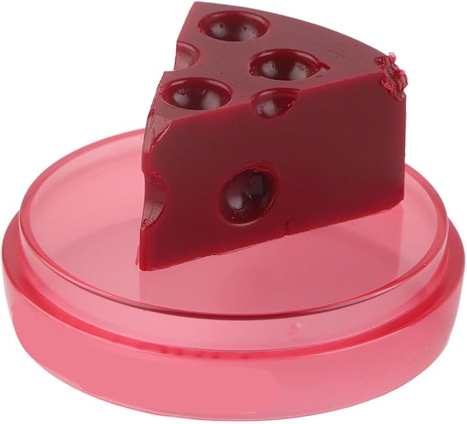 Cheese Shaped Lip Balm, Moisturizing Nourishing Repair Lip Balm, Hydrating Lip Balm for Chapped Cracked Lips 0.3oz(01)