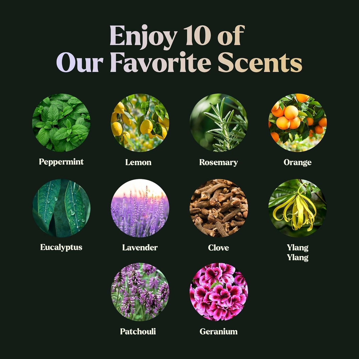 Essential Oils Set - Top 10 Gift Set Blends for Fragrance, Diffusers, Humidifiers, Aromatherapy, Cars & Home Products, Room Sprays, Candle Making, Yoga - Fragrance Oils for Botanical Fresheners Making