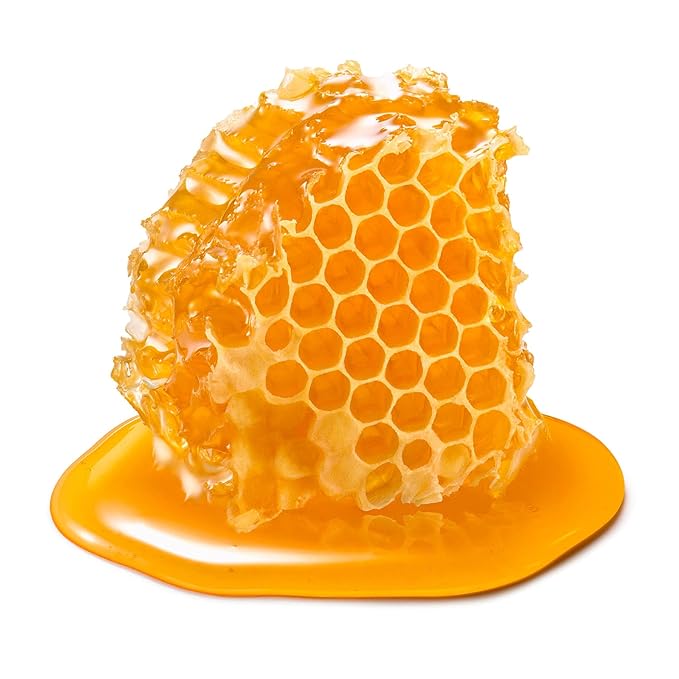 Earth To Skin Facial Care Starter Set: Manuka Honey Cleanser (1.0 Fl Oz), Day Gel Cream (0.5 Fl Oz), Night Cream (0.5 Fl Oz), and Royel Jelly Eye Cream (0.23 Fl Oz)