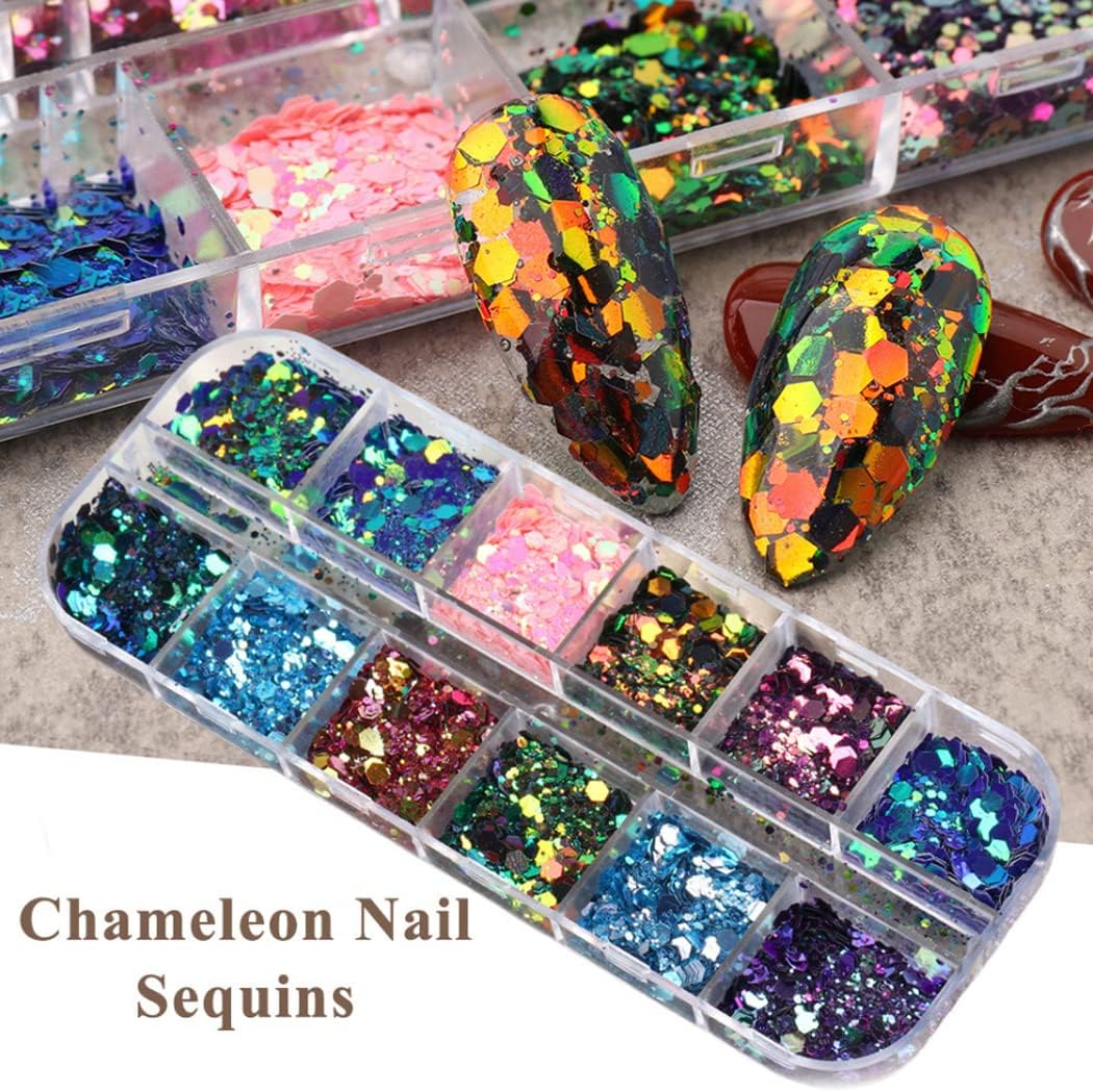 2 Boxes 24 Colors Chameleon Holographic Glitter Mermaid Nail Art Sequins 3D Flakes Laser Gradient Nail Glitter Design Shiny Glitters Powder Accessories for Women Manicure DIY Decorations