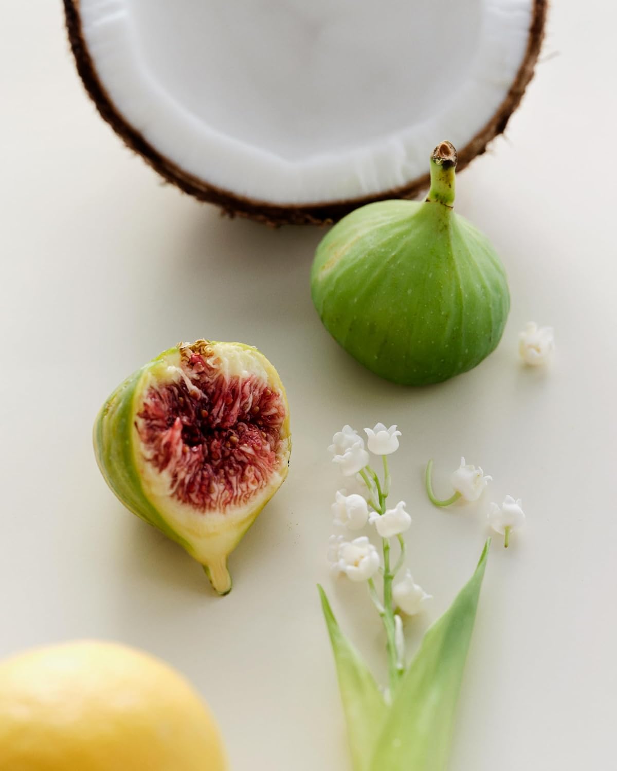 Maison Louis Marie - No.13 Nouvelle Vague Natural Roll-On Perfume Oil Sample | Luxury Clean Beauty + Non-Toxic Fragrance (0.1 fl oz | 3 ml)