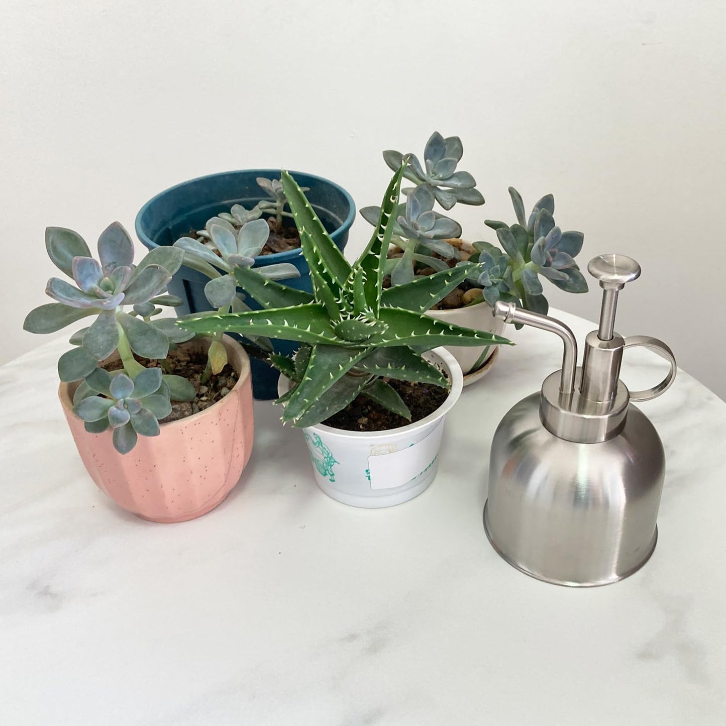 Plant Mister Spray Bottle Stainless Steel Plant Sprayer, Small Watering can Plant Spray Bottle Modern Gardening Tools for Indoor Potted Plants Watering and Spraying