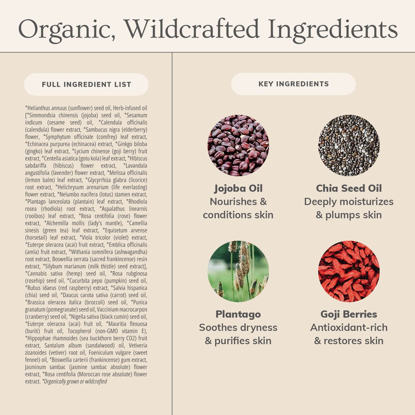 Anti-Aging Facial Oil by Annmarie Gianni Skin Care