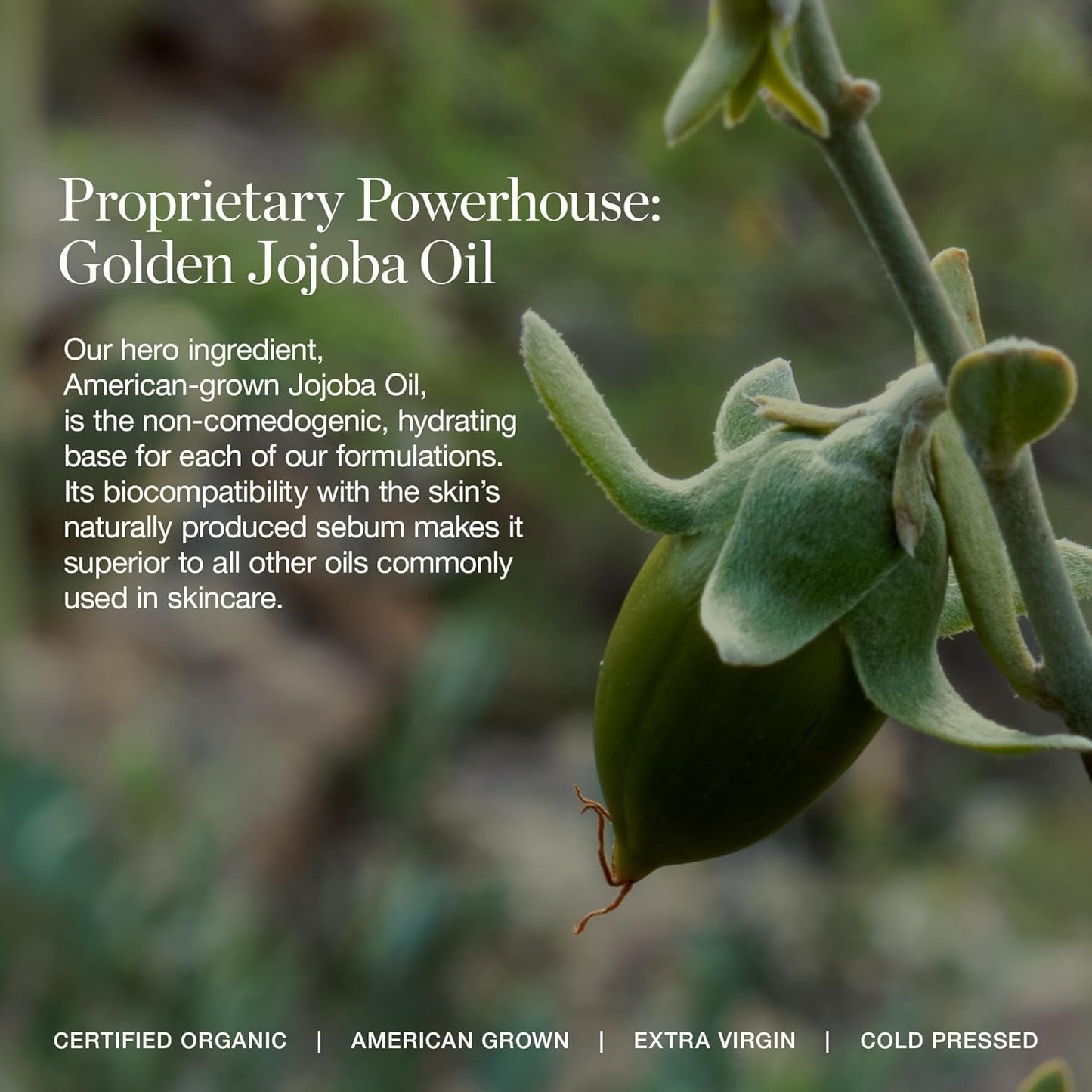 Ogee Complexion Perfecting Under Eye Concealer - Certified Organic Full Coverage Concealer - Buildable Coverage - ELM 9.75N - Medium Deep (Neutral Undertones