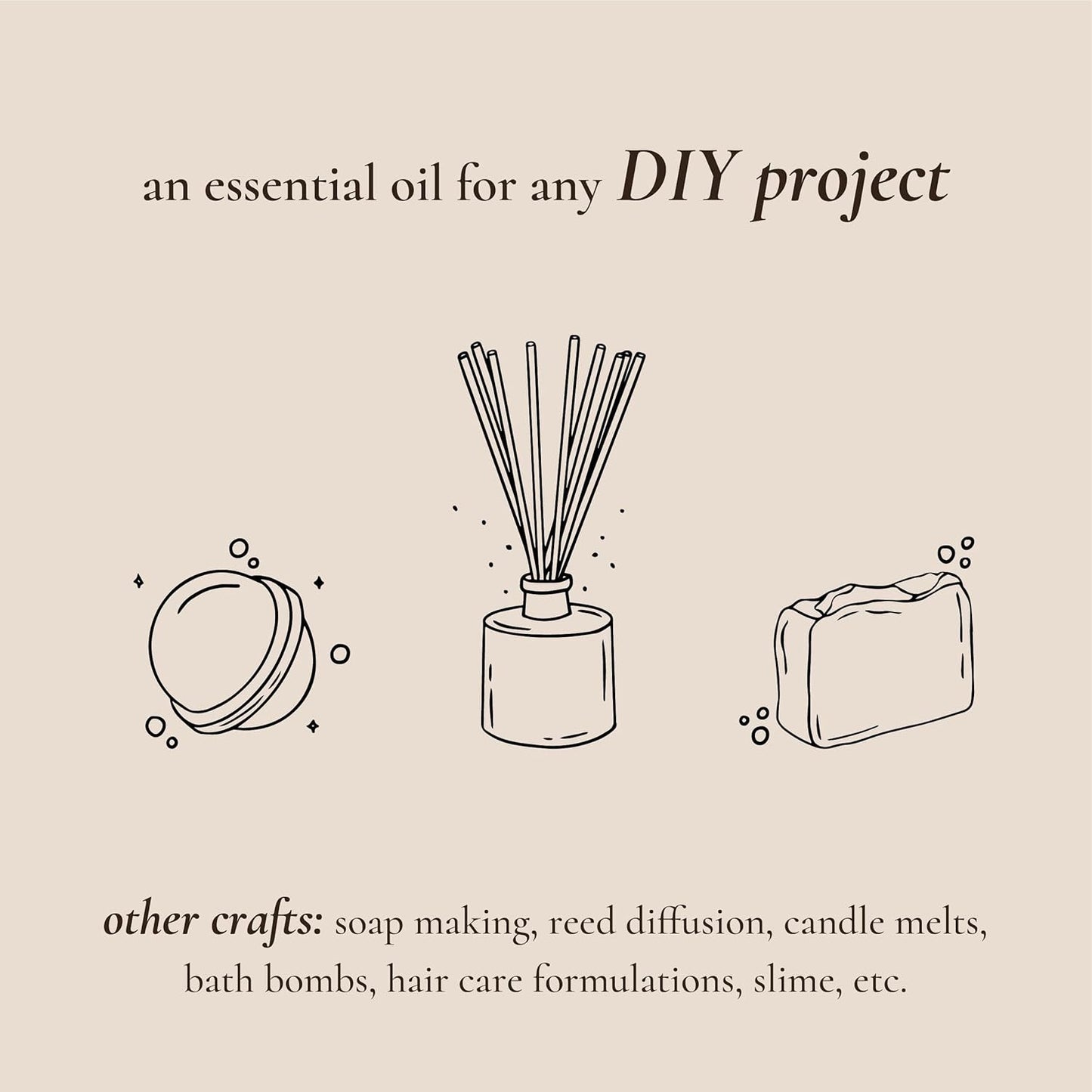 P&J Fragrance Oil Holiday Set | Mistletoe, Candy Cane, Wintermint, Apple Cider, Cranberry, and Forest Pine Candle Scents for Candle Making, Freshie, Soap Making Supplies, Diffuser Oil Scents