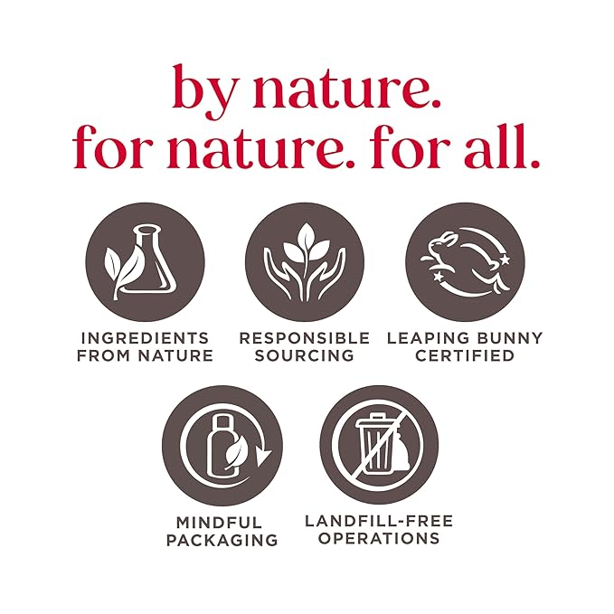 Burt's Bees Gifts Ideas - In Full Bloom Lip Balm Set, Original Beeswax, Dragonfruit Lemon, Tropical Pineapple & Strawberry, Natural Origin Lip Treatment, 4 Tubes, 0.15 oz.