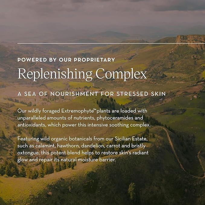 Furtuna Skin, Rinascita Delle Olive Replenishing Balm, 18g