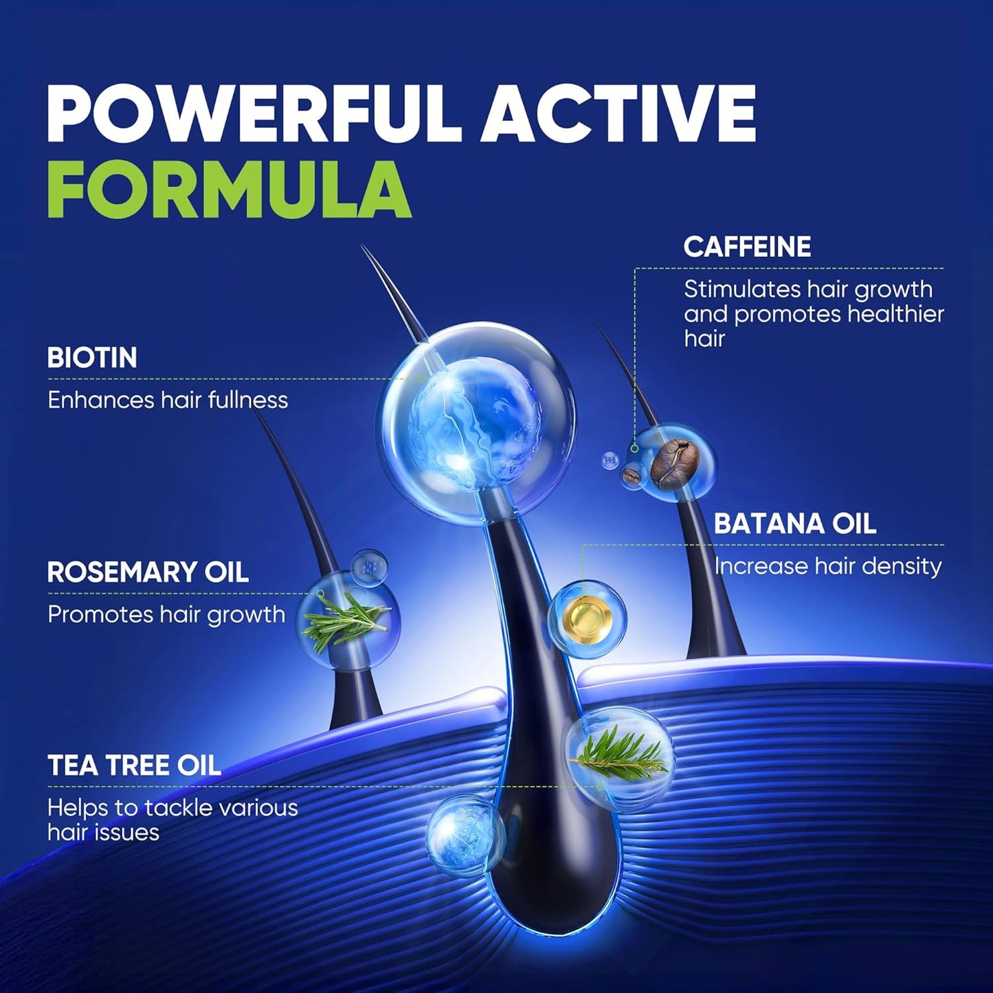 Hair Growth Shampoo for Men - Biotin Thickening Shampoo with Rosemary Tea Tree Oil Caffeine for Hair Loss and Thinning - 13.5 Fl Oz (Pack of 1)