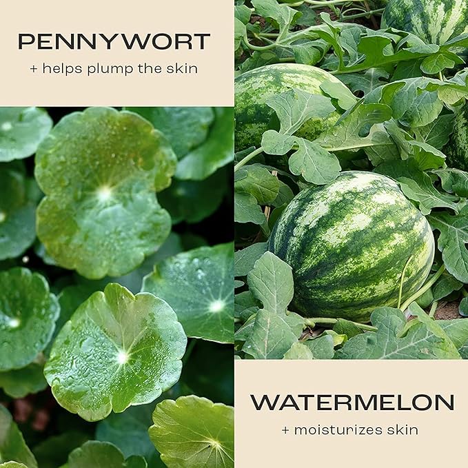 Firm Believer: 30ml Under Eye Cream with Vitamin C - Puffiness, Dark Circles, Eye Bags, Fine Lines and Wrinkles Reducer - Anti-Aging Eye Creams and Skin Care for Men and Women