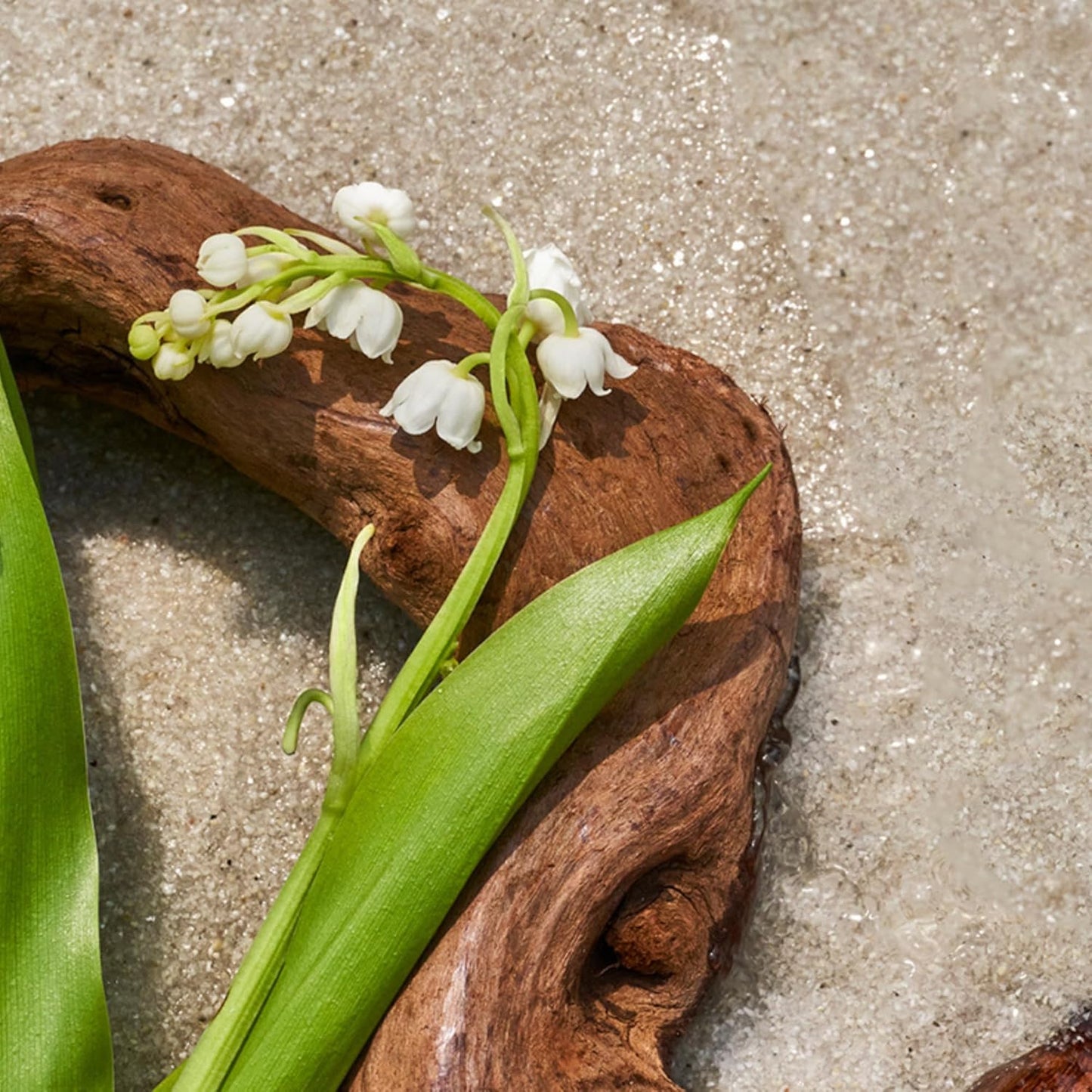 AromaTech Santal Escape Premium Aroma Oil – Uplifting & Sophisticated Home Fragrance with Notes of Sandalwood, Iris & Ocean Air for Scent Diffusers, Cold-Air and UltraSonic Scent Machines – 60 mL