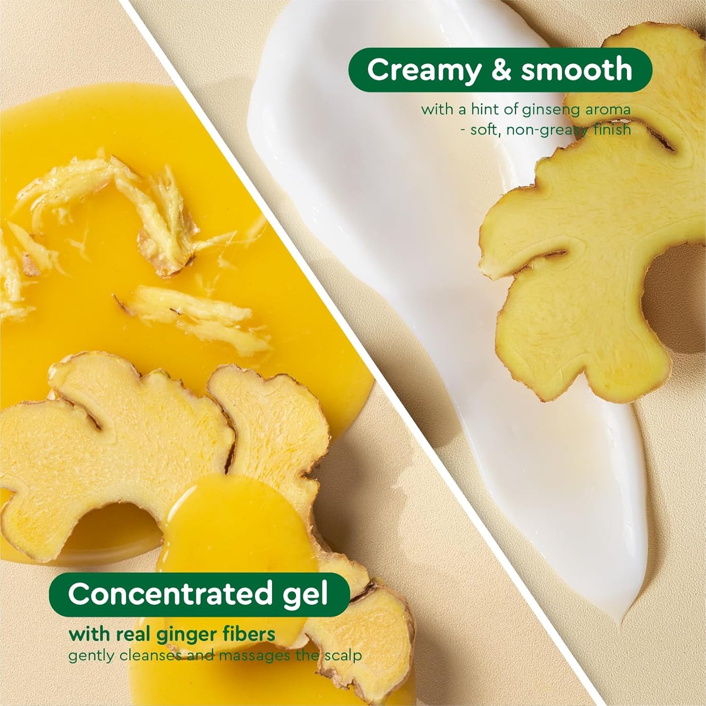 Vietnam's Touch | COCAY HOALA Ginger Lemongrass Shampoo and Conditioner Set for Hair Growth – Moisturizing & Soft Hair, Deep Cleansing for Oily Roots – Paraben Free (17.64 oz, 2 Pack)