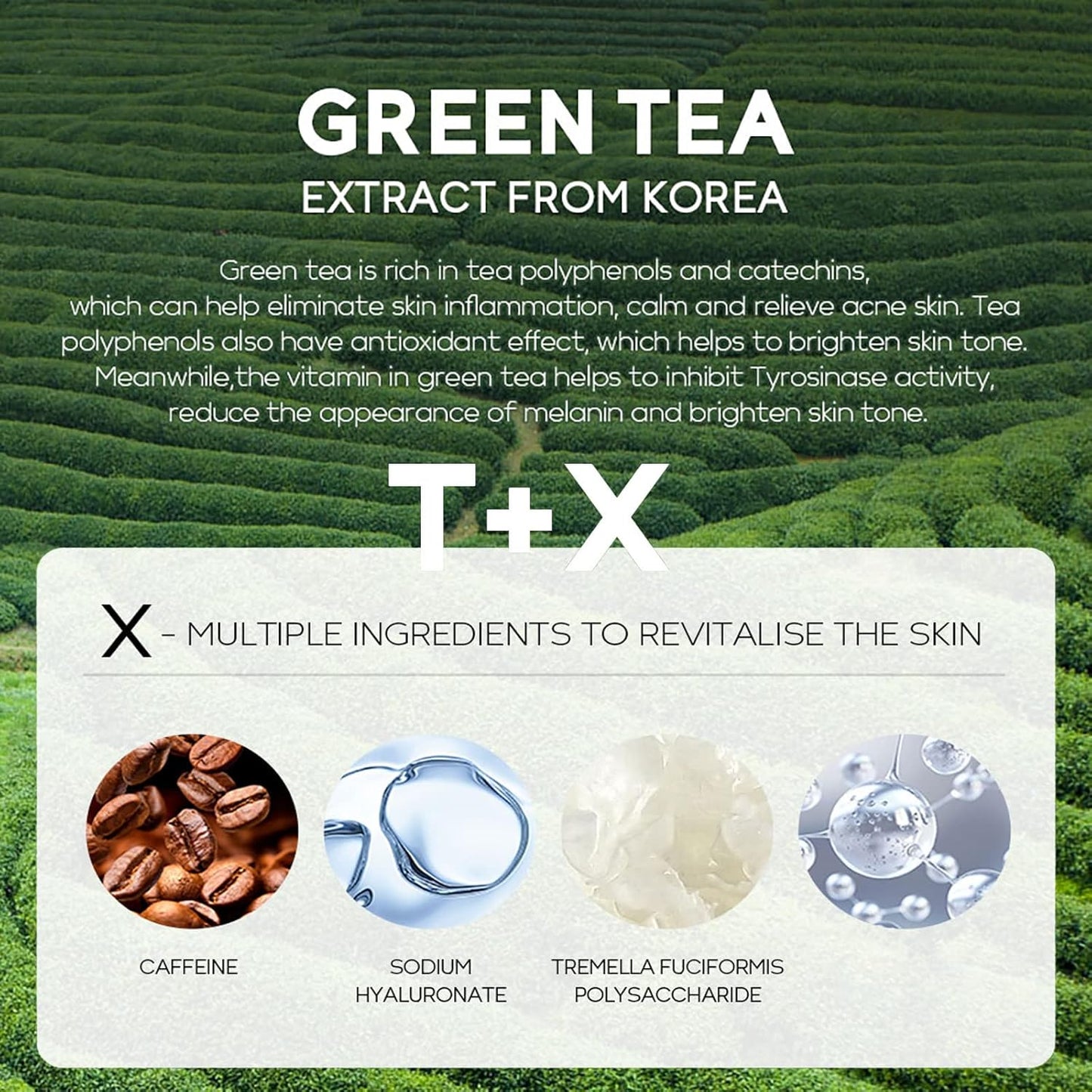 AKARY Green Tea Eye Serum and Under Eye Roller Cream, for Eye Bags Puffiness, Caffeine Eye Cream with 360° Massage Ball Reduce Wrinkles and Fine Lines, Under Eyes, Moisturizing, Hydrating, Firming Eye Skin (Green Tea)