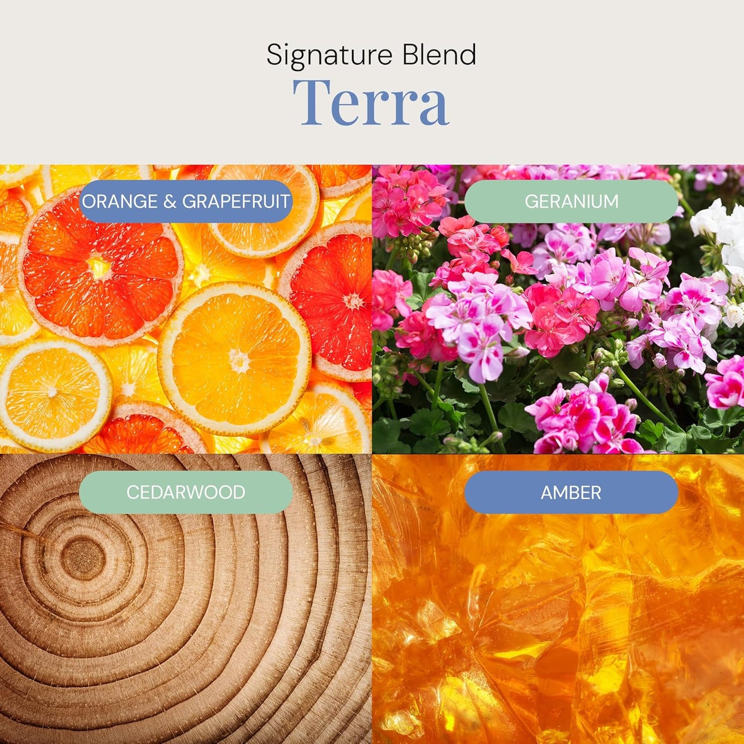 Terra Aroma Oil, Essential Oils Blend for Diffusers & Scent Machines, Upscale Wood & Amber with Citrus Accents, Aromatherapy, Cold Air Diffuser Compatible, 300 mL