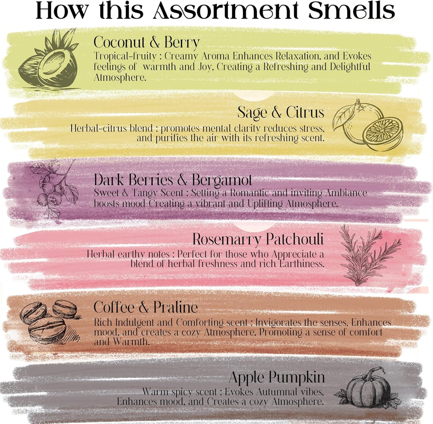 Raajsee Natural Incense Sticks with Insence Holder- Pack of 6 Organic Inscent -120 Insense Sticks, Non Toxic Clean Burning, Boho Gift Set, Sage,Apple Pumpkin,Coconut, Coffee,Rosemary Patchouli